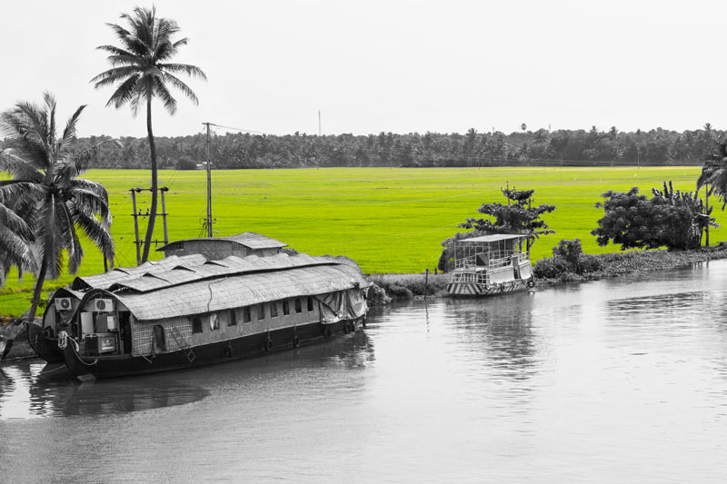Traditional science for irrigation in India - Padsekharam – a block of paddy fields reclaimed from Vembanad Lake in Kuttanad, Kerala
